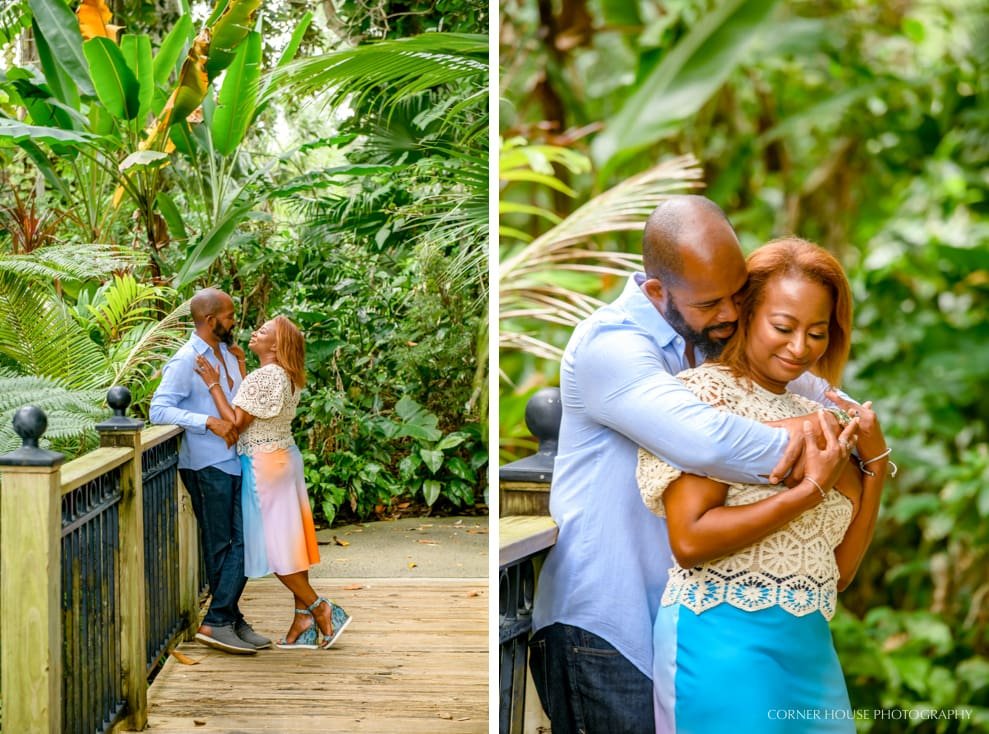 Harry P Leu Gardens Engagement Harry P Leu Gardens Engagement