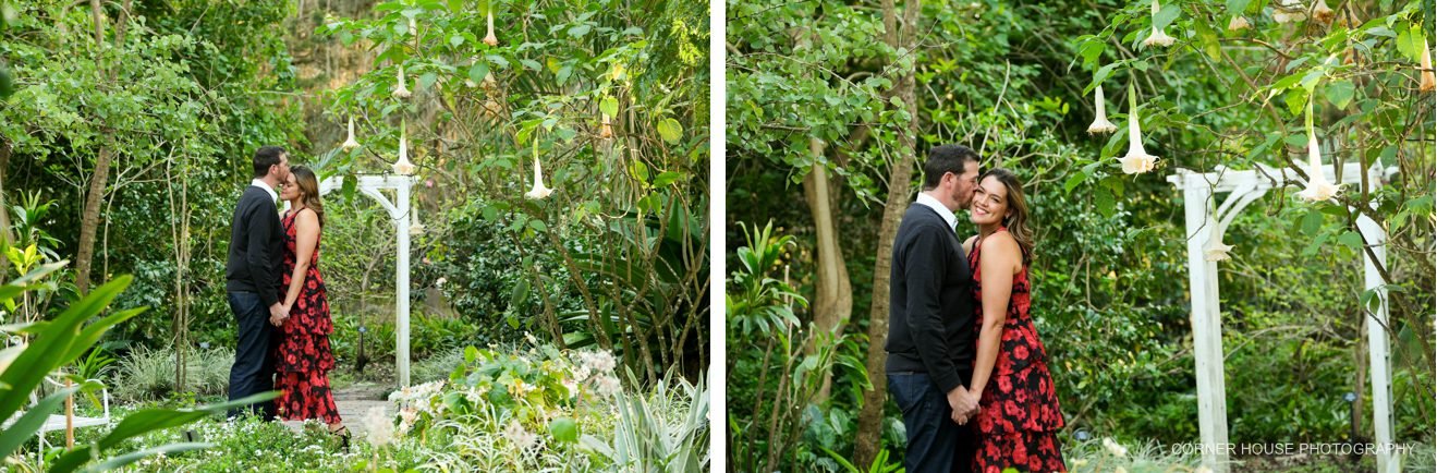 Harry P Leu Gardens Engagement