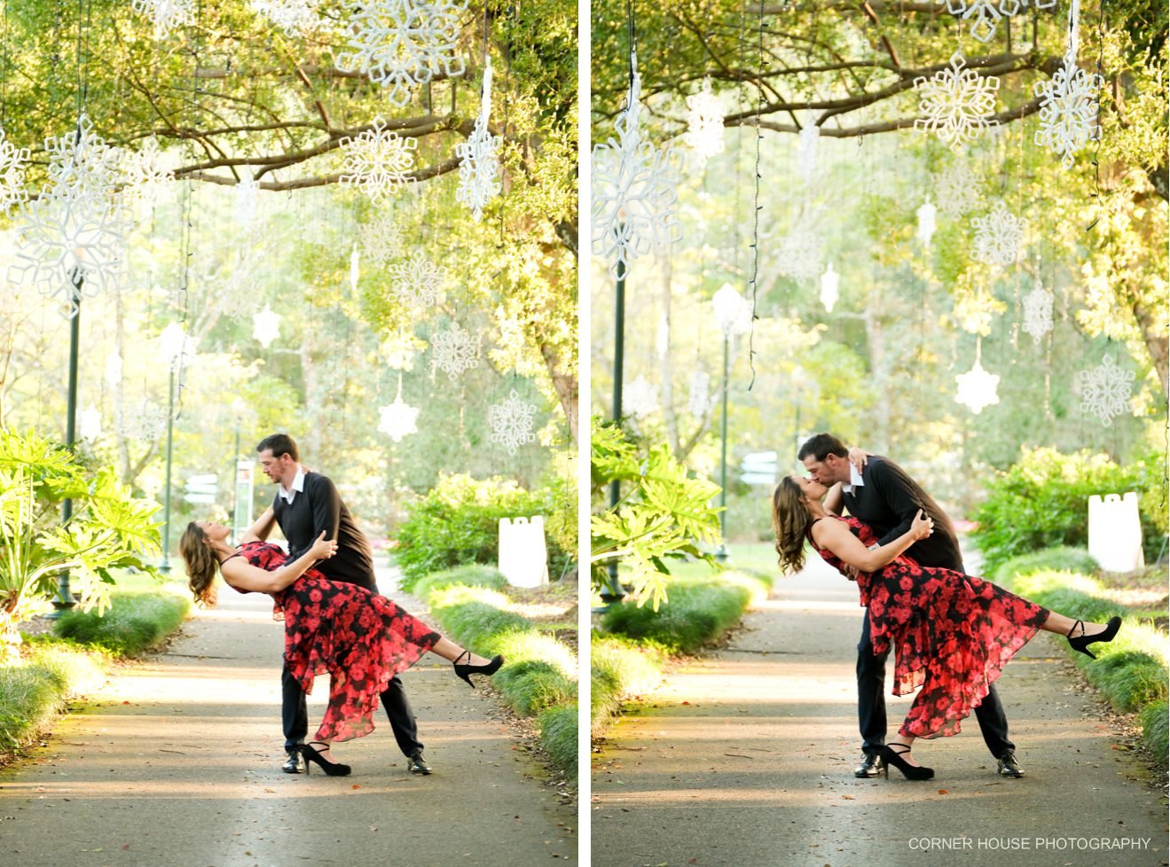 Harry P Leu Gardens Engagement