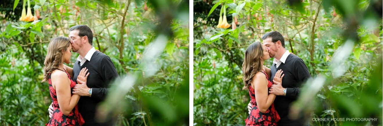 Harry P Leu Gardens Engagement