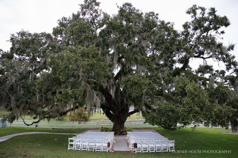 Highland Manor Wedding
