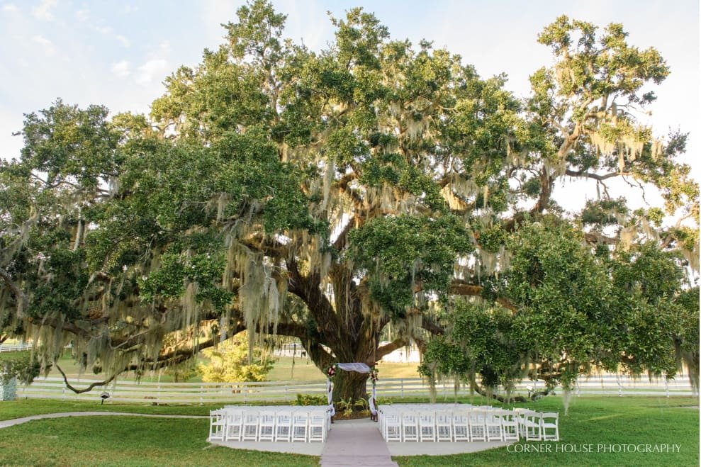 Highland Manor Wedding