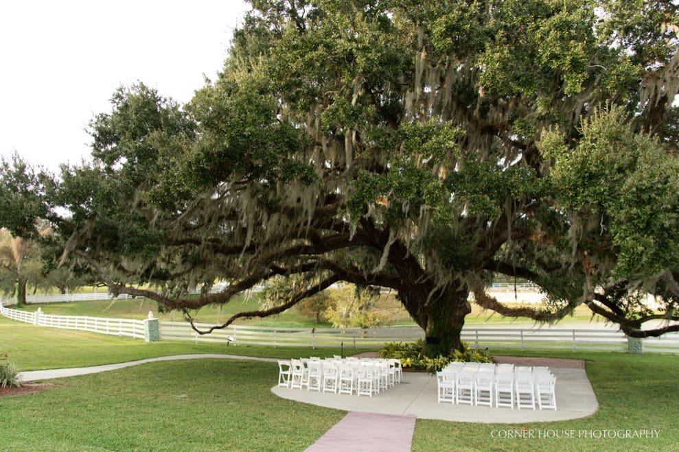 Highland Manor Wedding