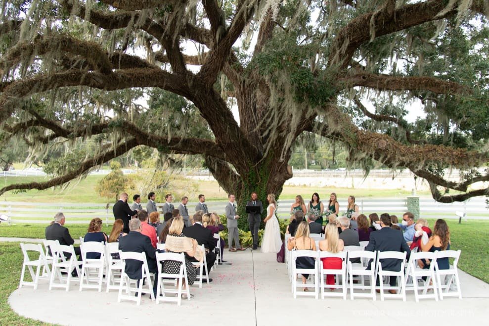 Highland Manor Wedding