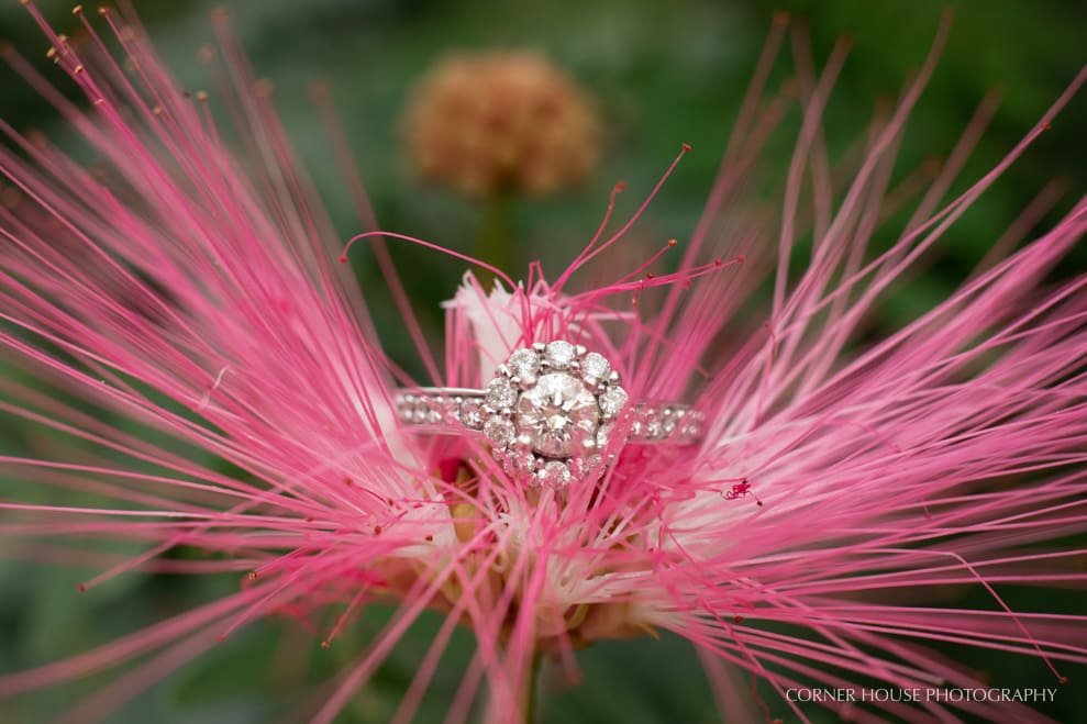 Mead Gardens Engagement