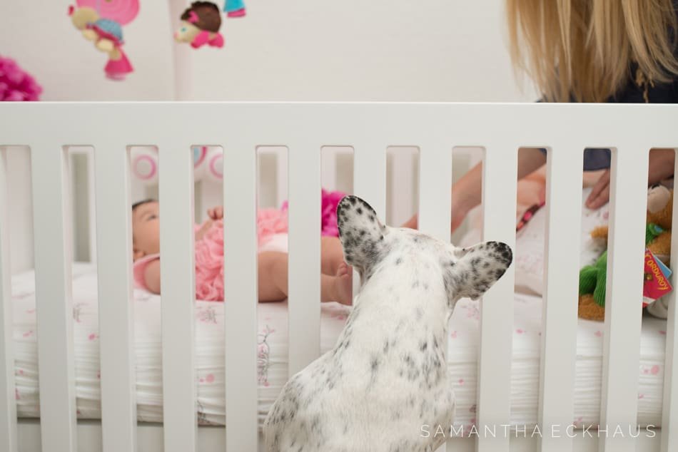 In Home Baby Session