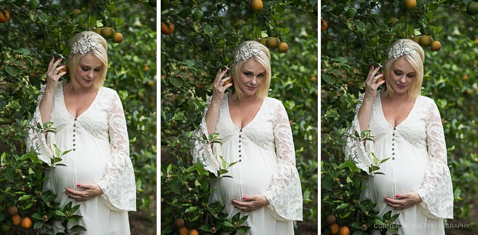 Orange Grove Maternity Session Orange Grove Maternity Session