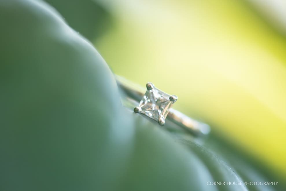 Bok Tower Engagement Bok Tower Engagement