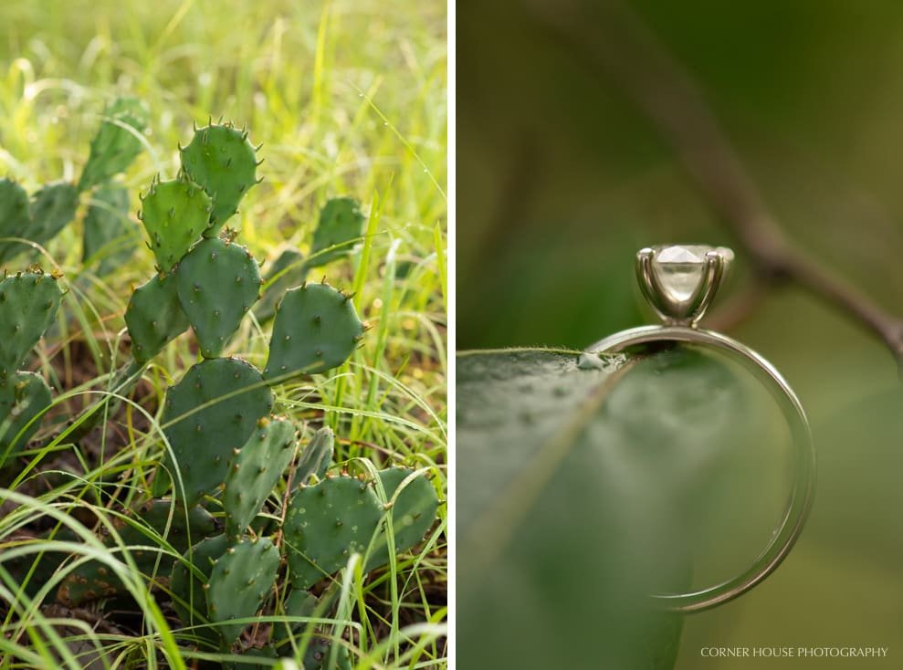 Lakeland Engagement Lakeland Engagement