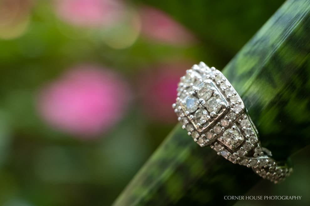 Bok Tower Engagement Bok Tower Engagement