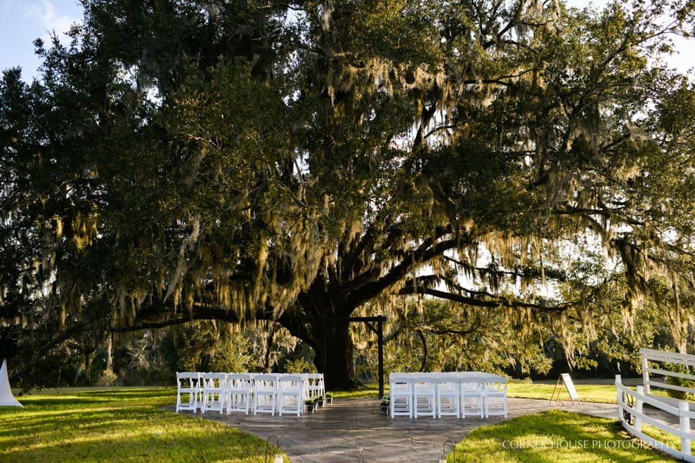 Latyn's Land-n Wedding