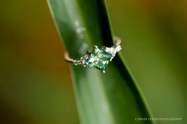 Kimberly & Ben’s Lettuce Lake Park Engagement