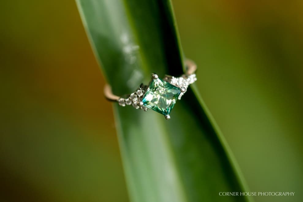 Kimberly & Ben’s Lettuce Lake Park Engagement