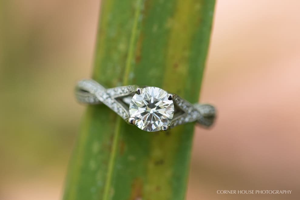 Lettuce Lake Park Engagement Lettuce Lake Park Engagement