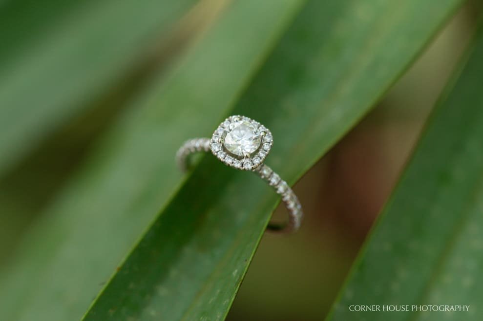 Lettuce Lake Park Engagement Lettuce Lake Park Engagement