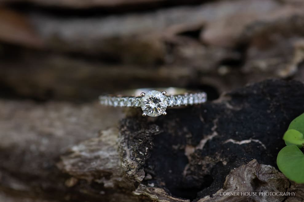 Lettuce Lake Park Engagement Lettuce Lake Park Engagement