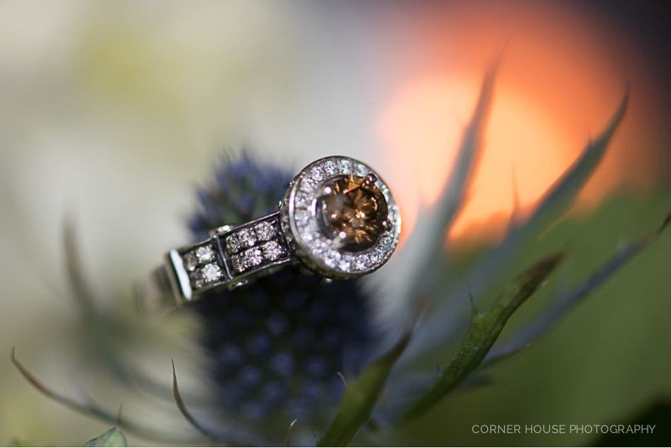 Leu Gardens Lakeside Wedding Leu Gardens Lakeside Wedding