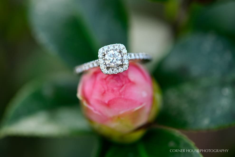 Leu Gardens Engagement