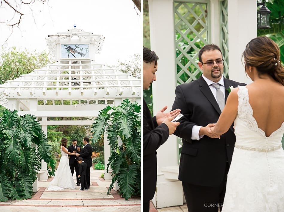 Leu Gardens Elopement
