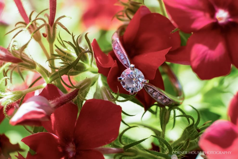 Leu Gardens Engagement