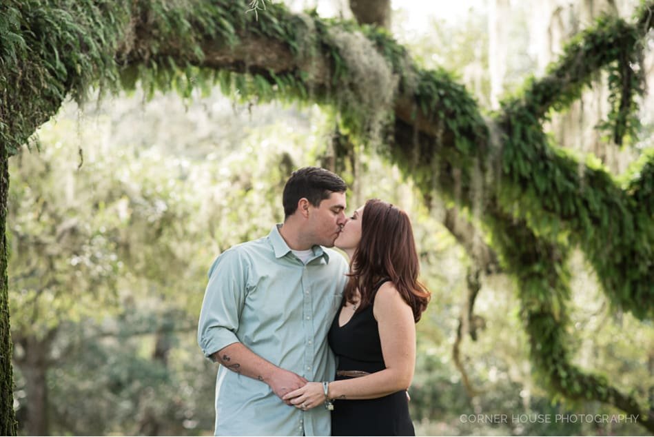 Harry P Leu Gardens Engagement Harry P Leu Gardens Engagement
