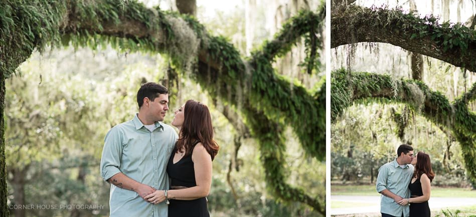 Harry P Leu Gardens Engagement Harry P Leu Gardens Engagement