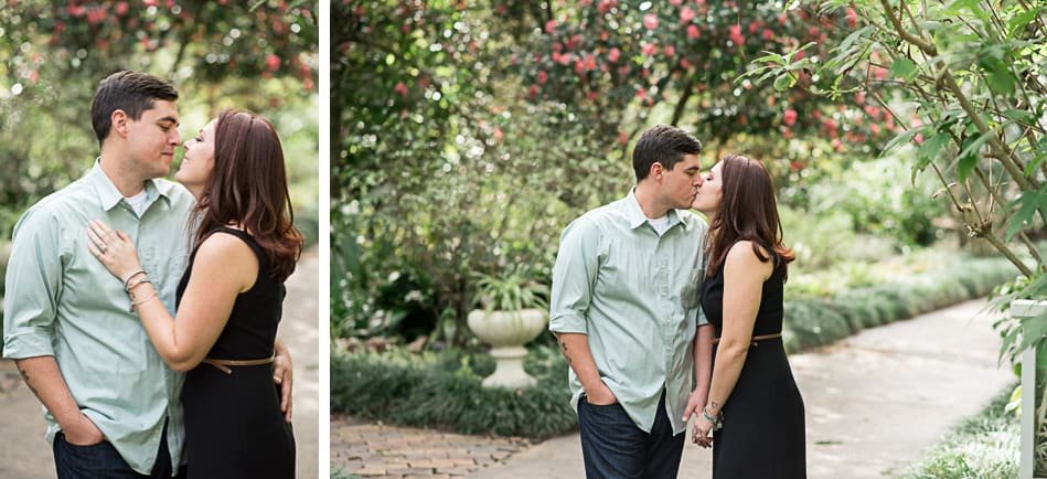 Harry P Leu Gardens Engagement Harry P Leu Gardens Engagement
