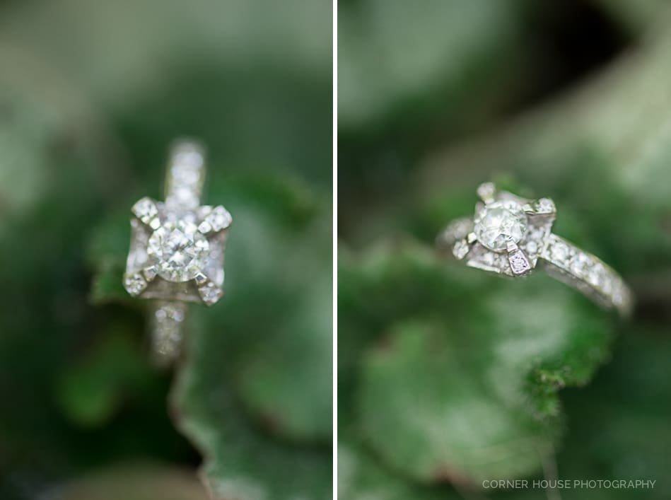 Harry P Leu Gardens Engagement Harry P Leu Gardens Engagement