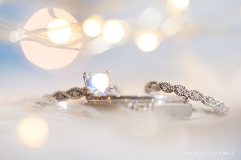 Leu Gardens Wedding Leu Gardens Wedding