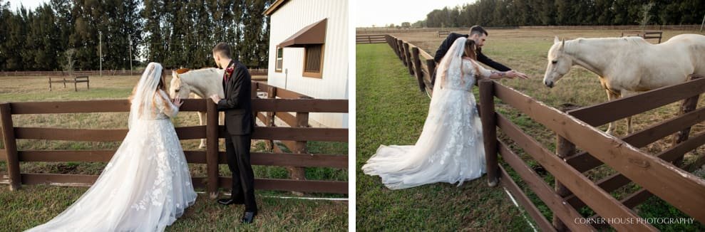 Master’s Stables Wedding Barn Wedding Master’s Stables Wedding Barn Wedding