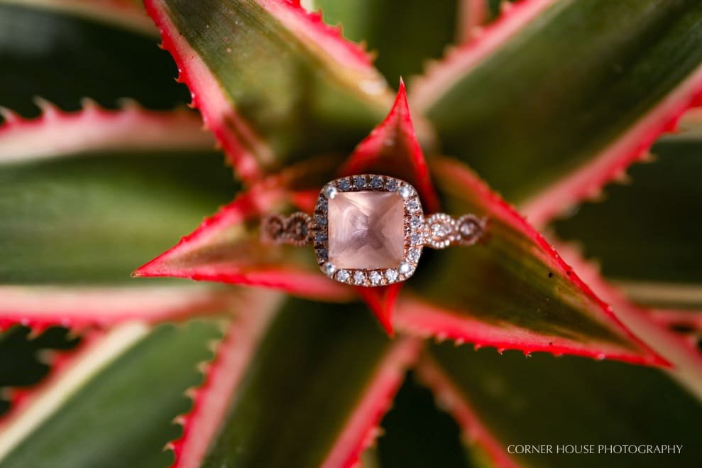 Samantha & Alejandro’s Mead Botanical Garden Engagement