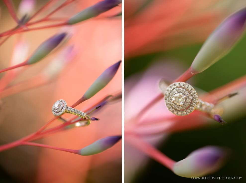 Mead Garden Engagement Mead Garden Engagement