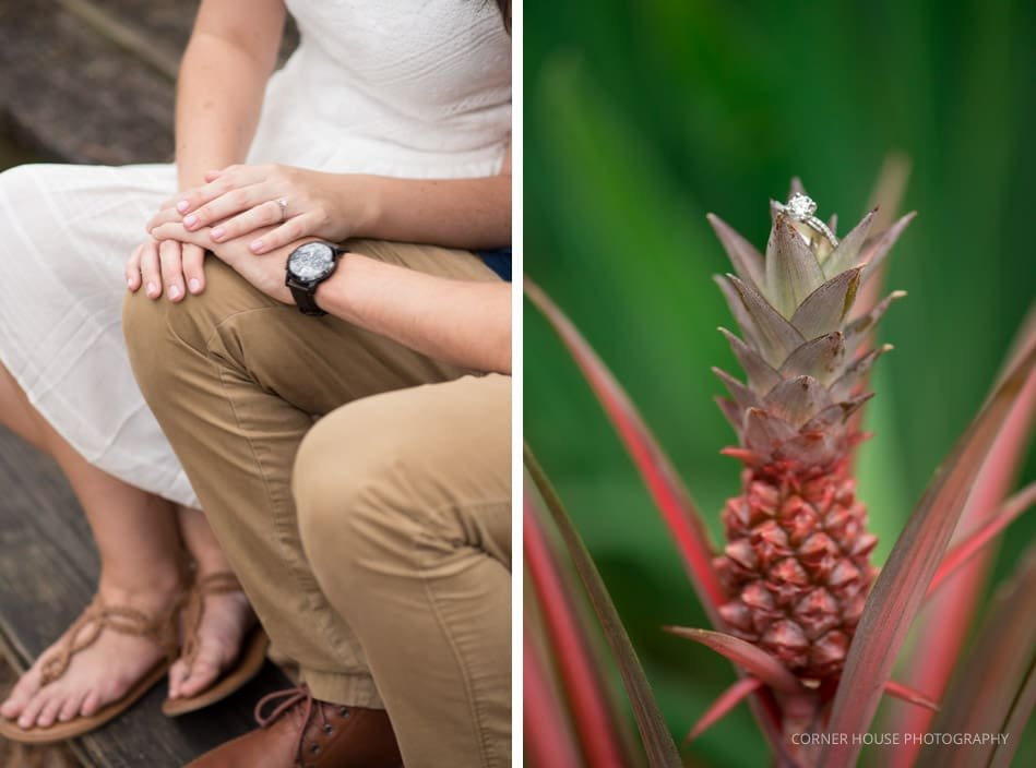 Mead Garden Engagement Mead Garden Engagement