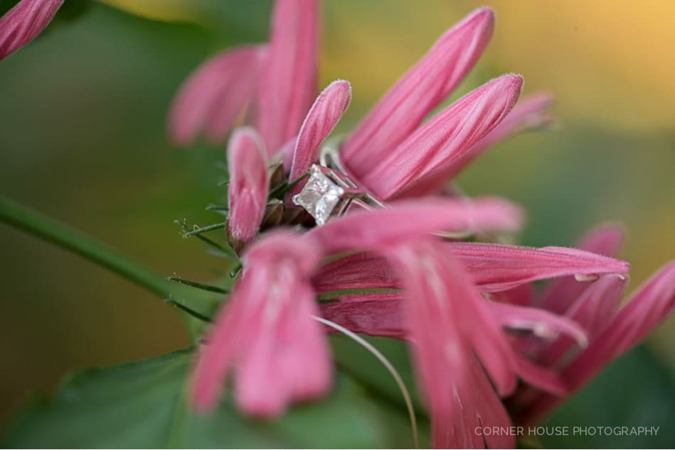 Yuli & Patrick’s Mead Garden Engagement