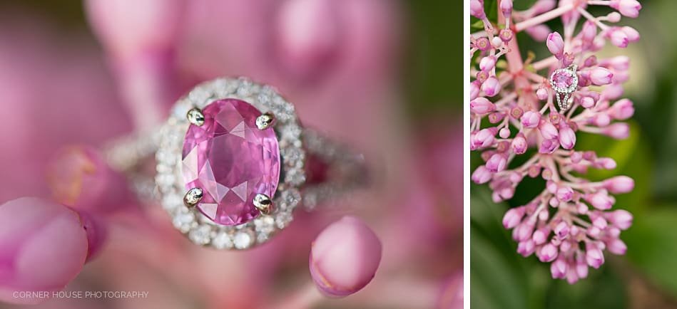Engagement Mead Botanical Garden Engagement Mead Botanical Garden
