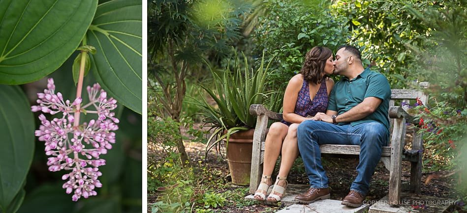 Engagement Mead Botanical Garden Engagement Mead Botanical Garden