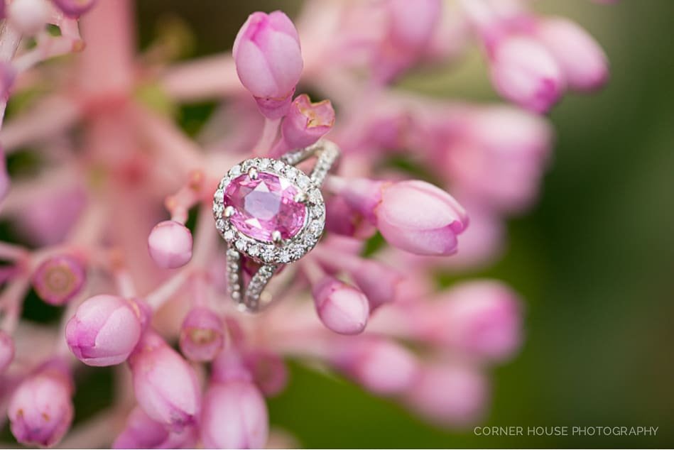 Cassie & Ruben’s Mead Botanical Garden Engagement