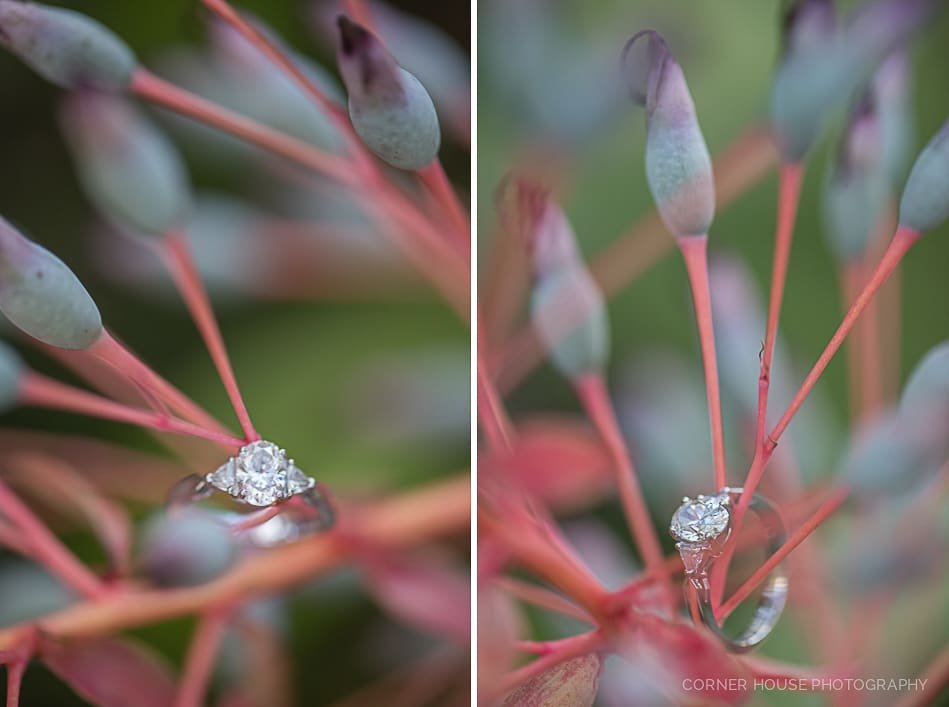 Mead Garden Engagement Mead Garden Engagement