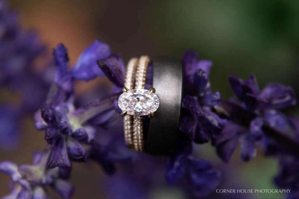 Mead Gardens Engagement Mead Gardens Engagement