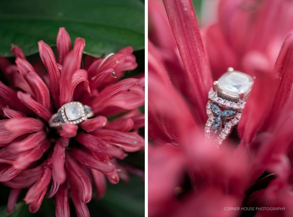 Mead Garden Engagement Mead Garden Engagement