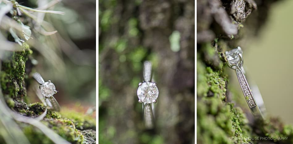 Lake Santa Fe Engagement Lake Santa Fe Engagement