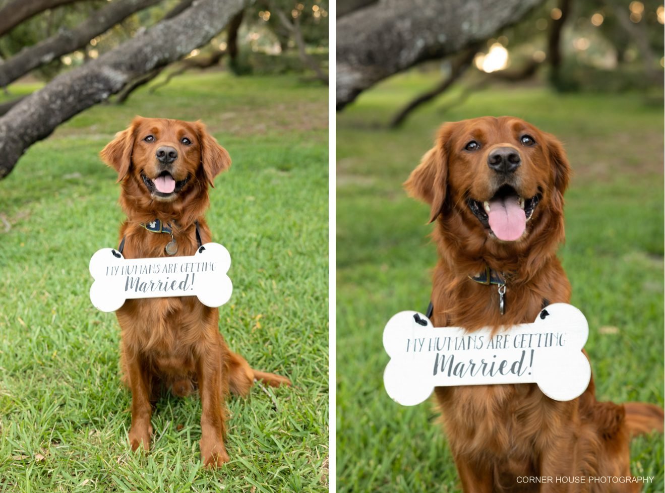 Mennello Museum Engagement