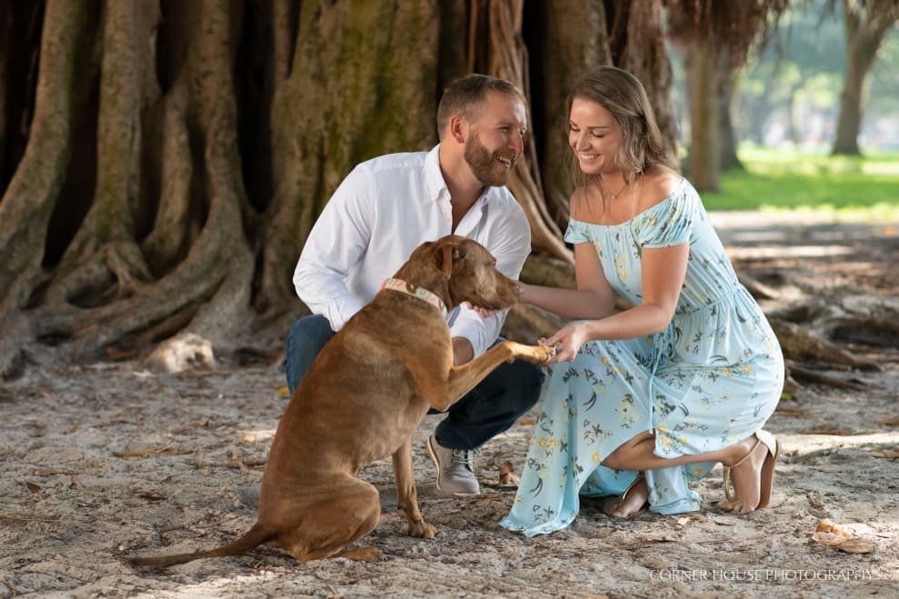 North Straub Park Engagement