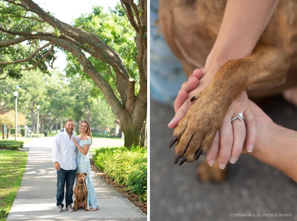 North Straub Park Engagement North Straub Park Engagement