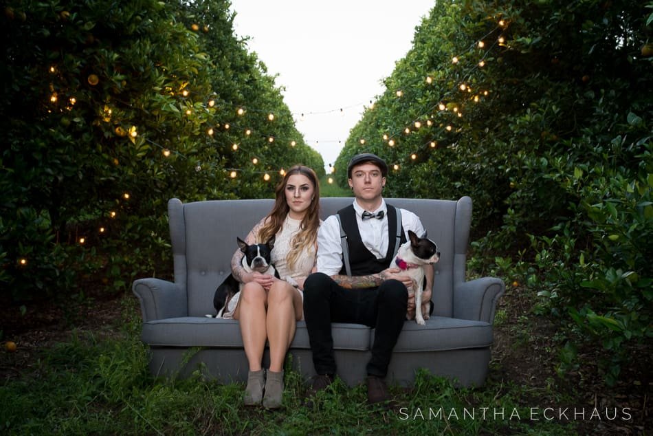 Orange Grove Engagement Orange Grove Engagement
