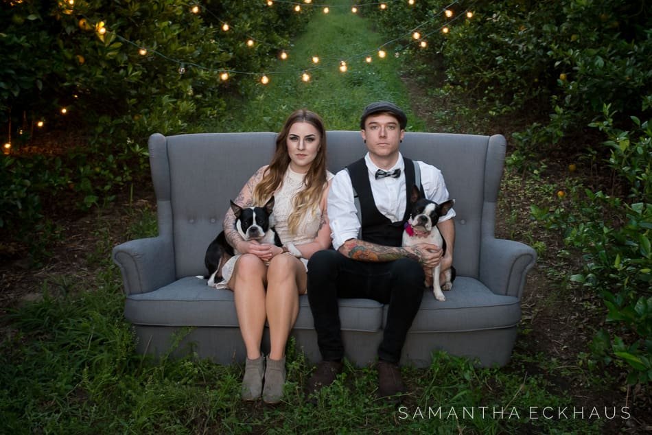 Orange Grove Engagement Orange Grove Engagement