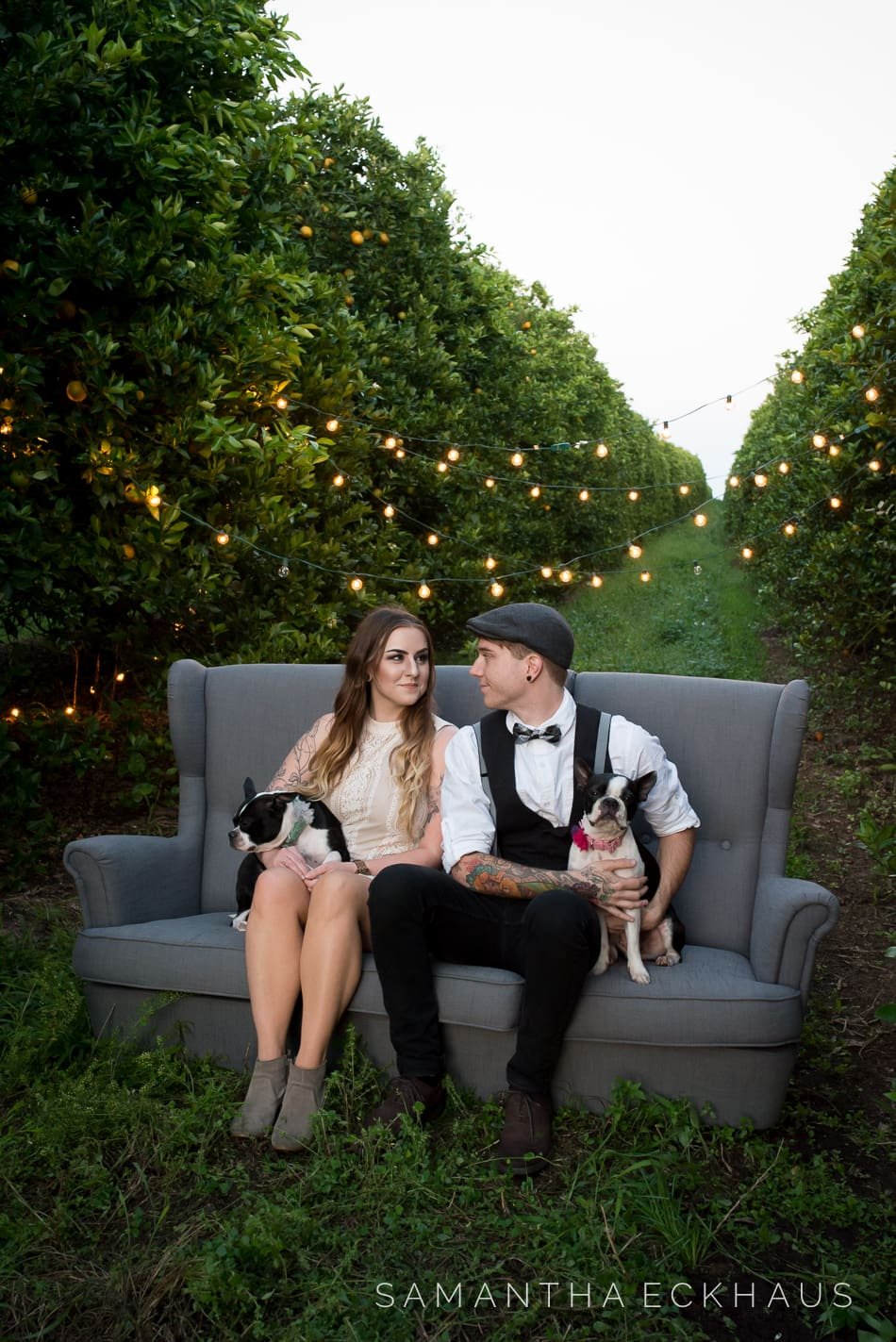 Orange Grove Engagement Orange Grove Engagement
