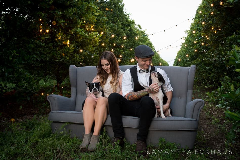Orange Grove Engagement Orange Grove Engagement