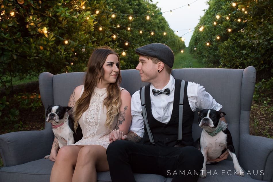 Orange Grove Engagement Orange Grove Engagement