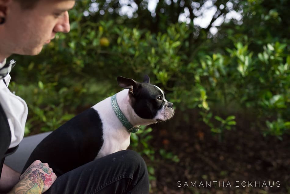 Orange Grove Engagement Orange Grove Engagement